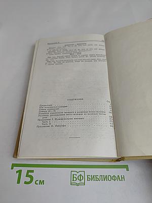 Словарь омонимов русского языка