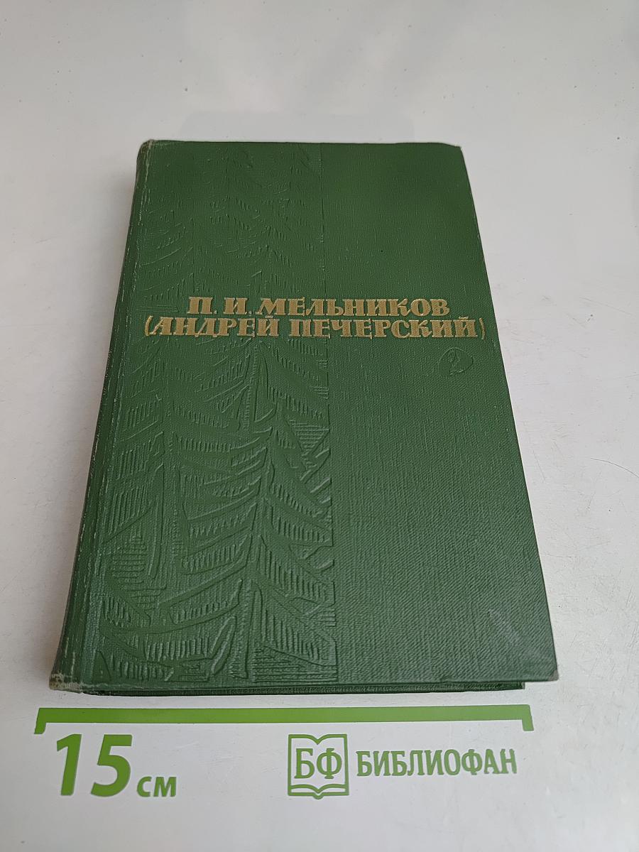 В лесах. Книга первая