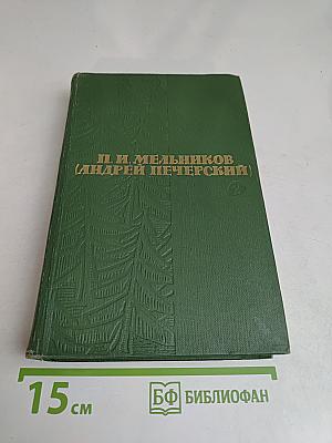В лесах. Книга первая