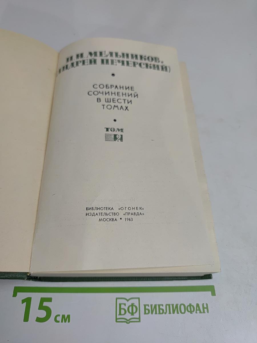 В лесах. Книга первая