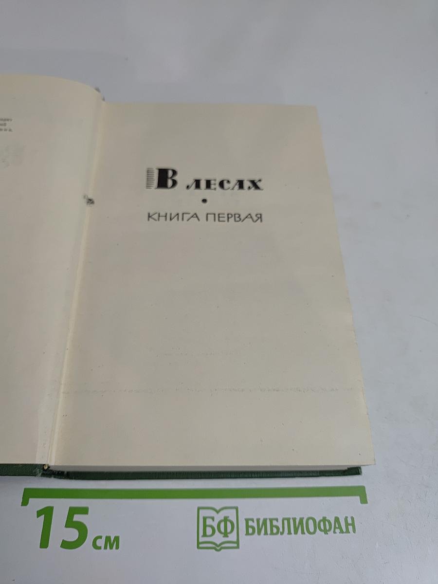 В лесах. Книга первая
