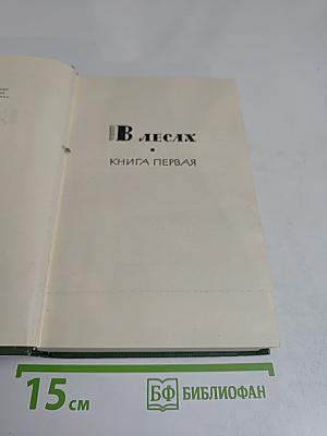 В лесах. Книга первая