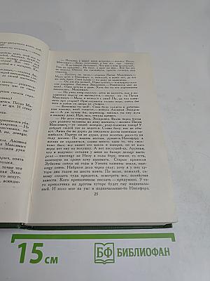 В лесах. Книга первая