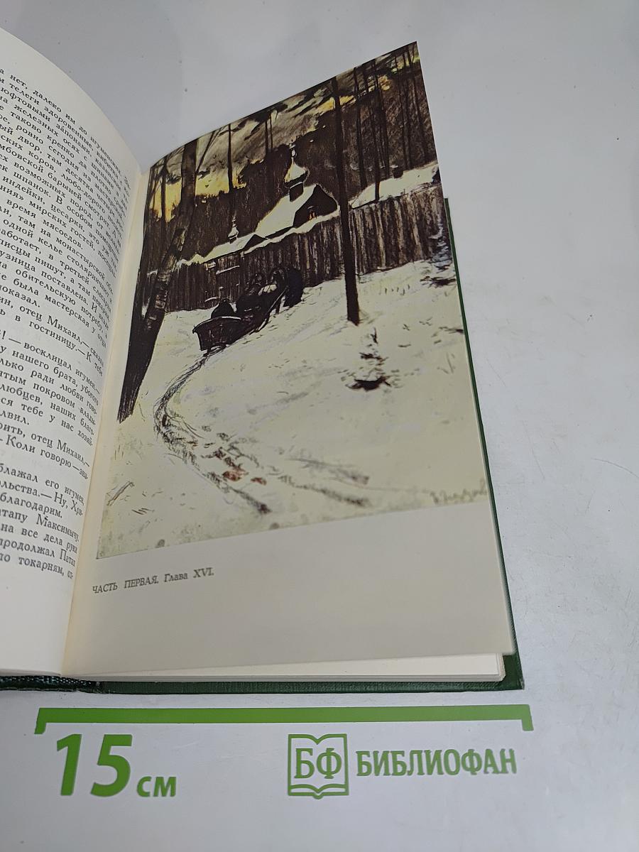 В лесах. Книга первая