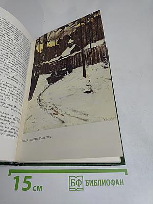 В лесах. Книга первая