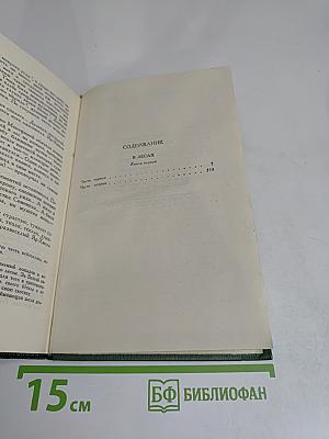 В лесах. Книга первая