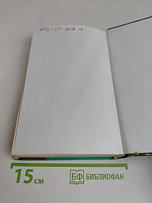 Мефодий Буслаев. Карта Хаоса