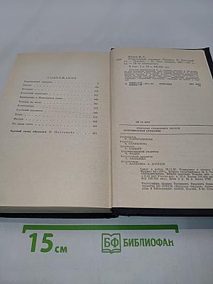 Очарованный странник