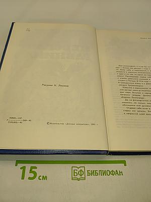 Невская равнина