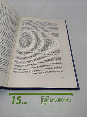 Невская равнина