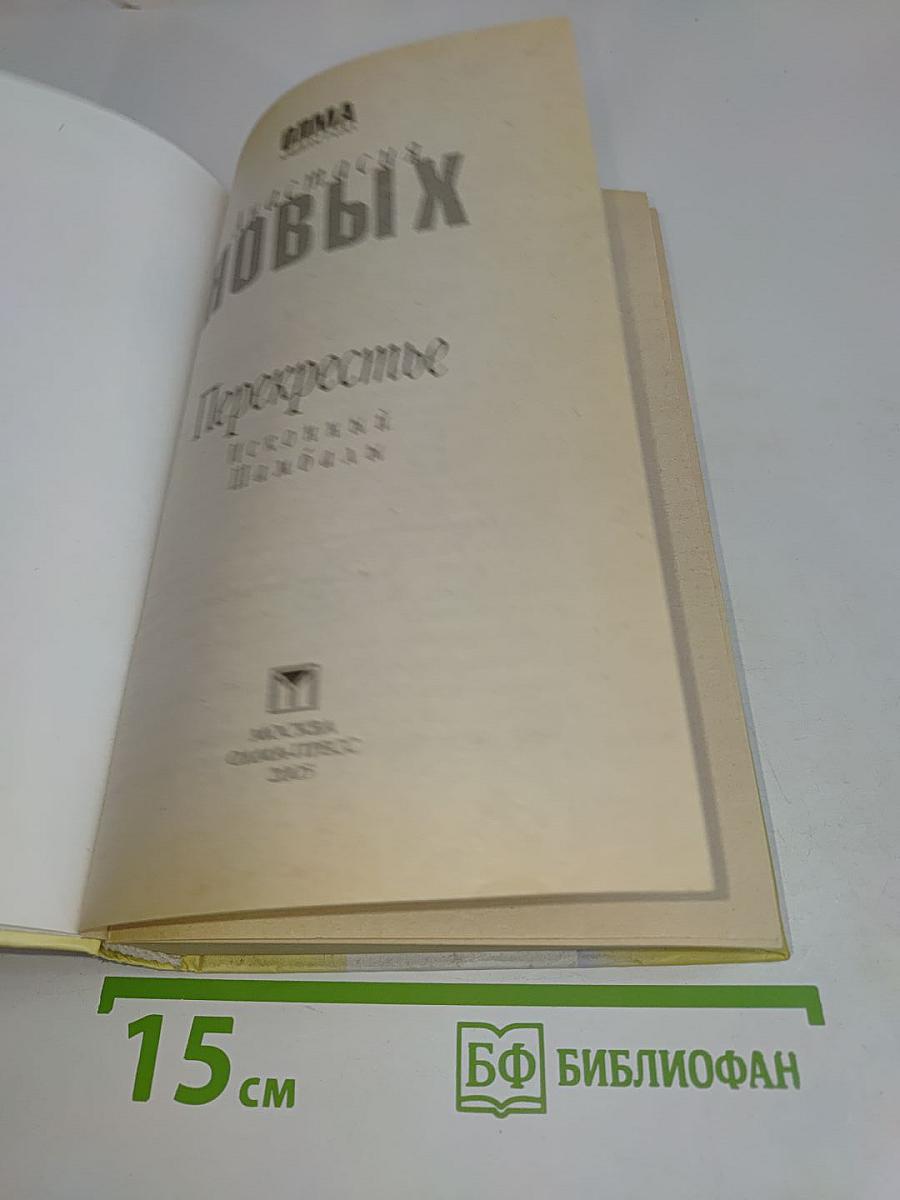 Перекрестье Иконный Шамбалы