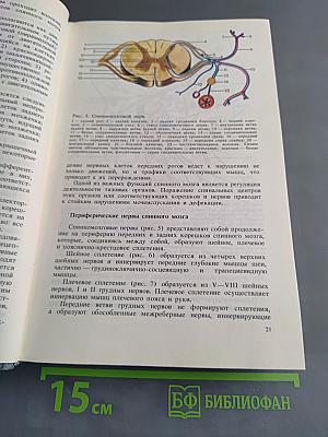 Нервные болезни