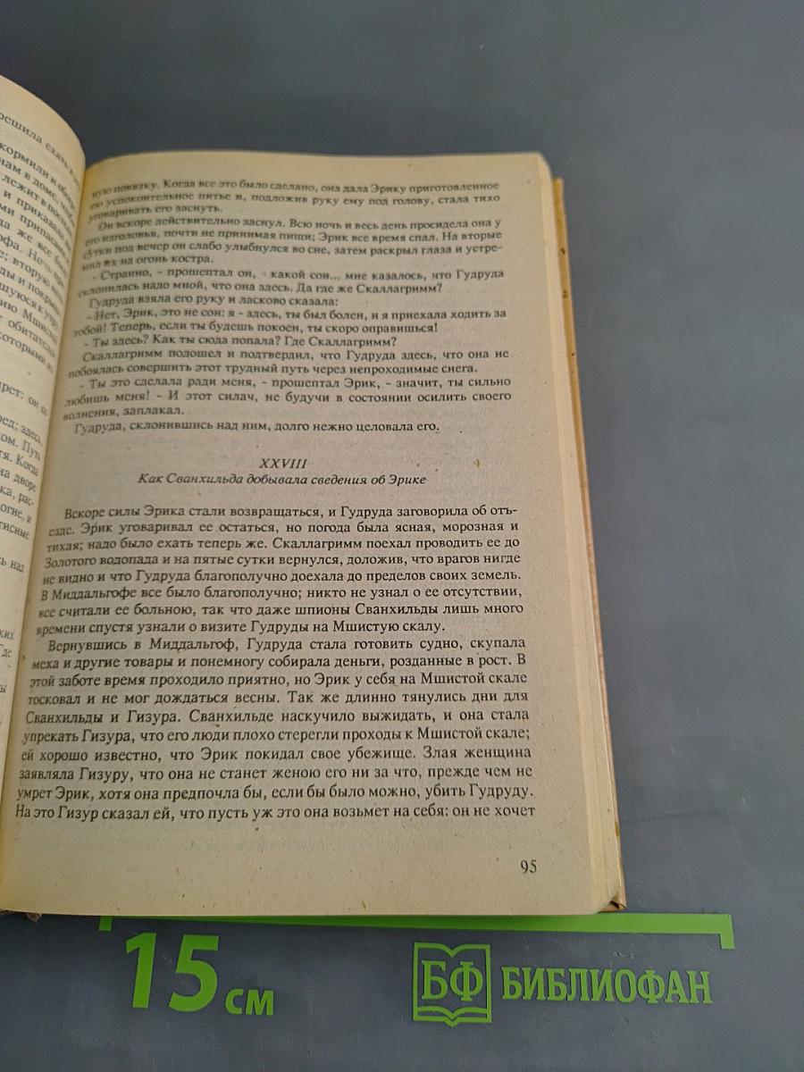 Забытый приключенческий роман