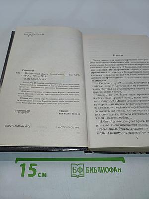 Ворон. Закон мести
