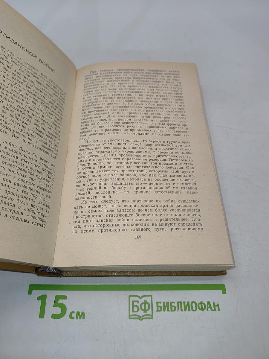Дневник партизанских действий 1812 г. Записки кавалерист-девицы