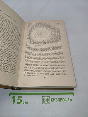 Дневник партизанских действий 1812 г. Записки кавалерист-девицы