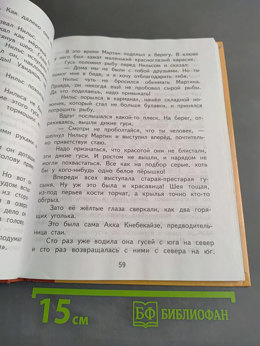Литературное чтение. Часть 2. 4 класс