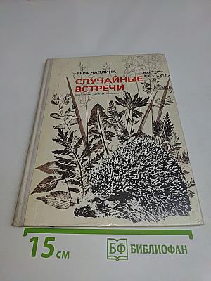Случайные встречи