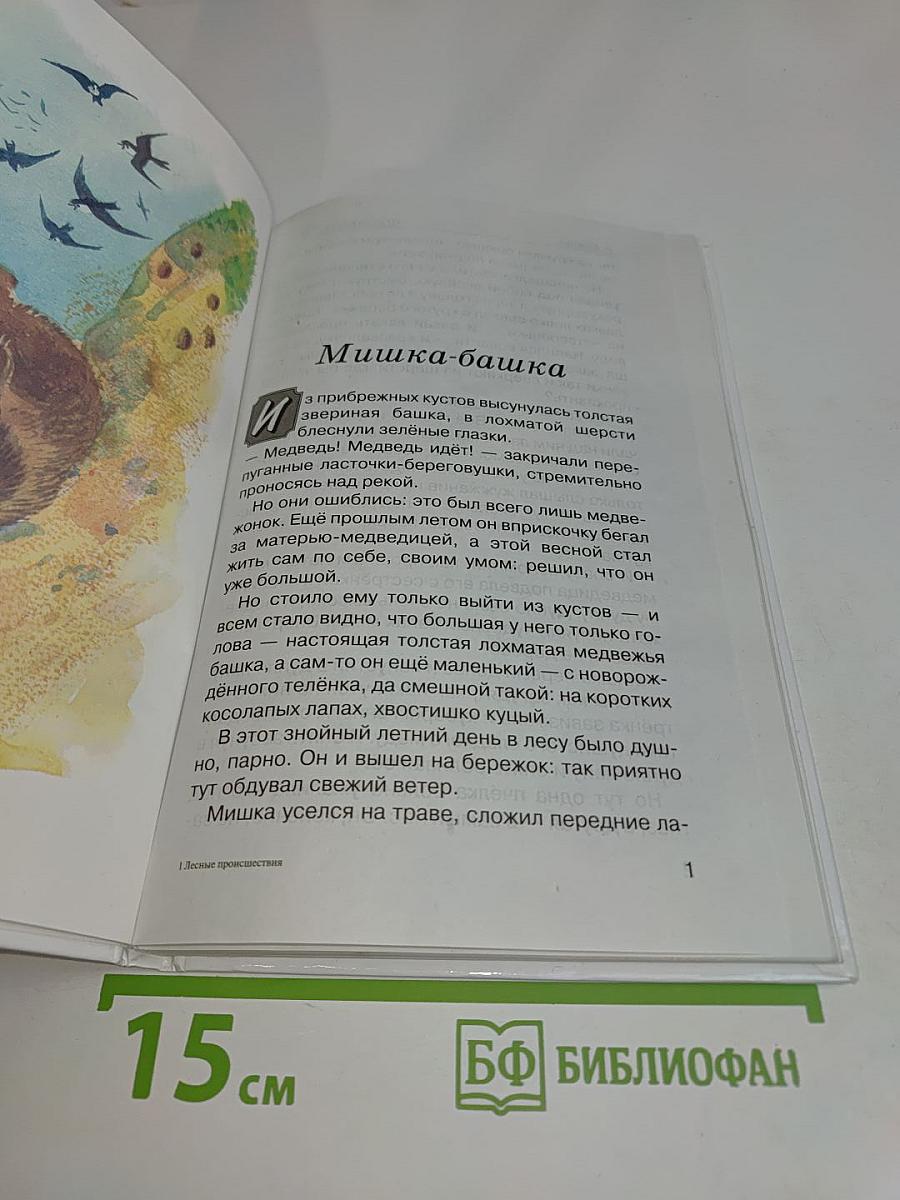 Лесные происшествия