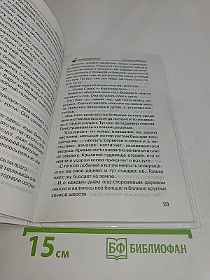 Лесные происшествия
