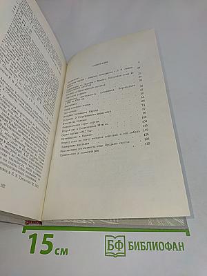 Воспоминания сына художника