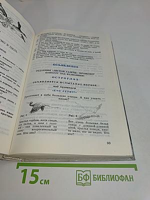 Лесная газета