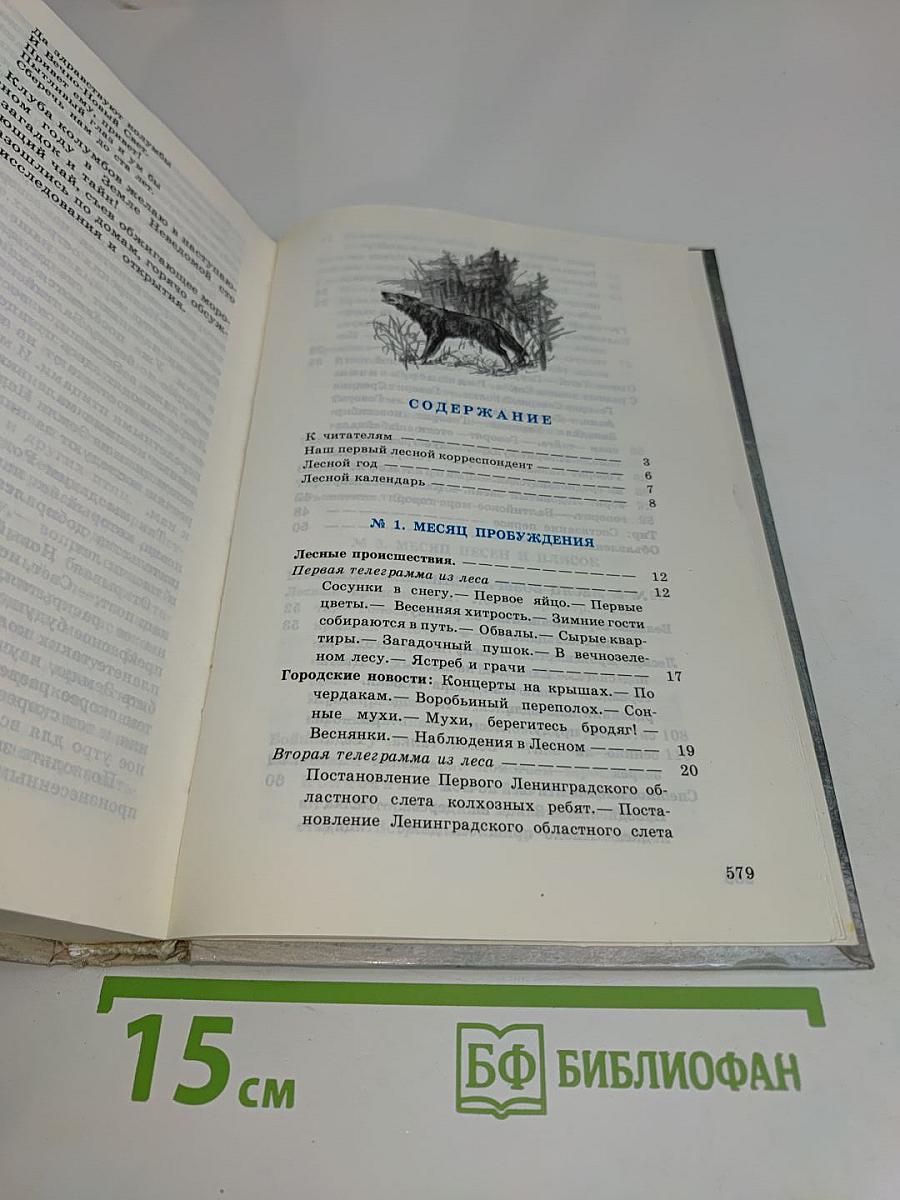 Лесная газета