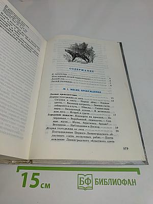 Лесная газета