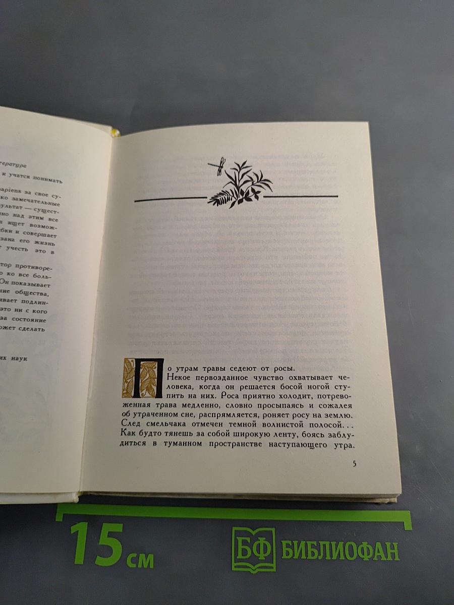 Надежды зеленого дома