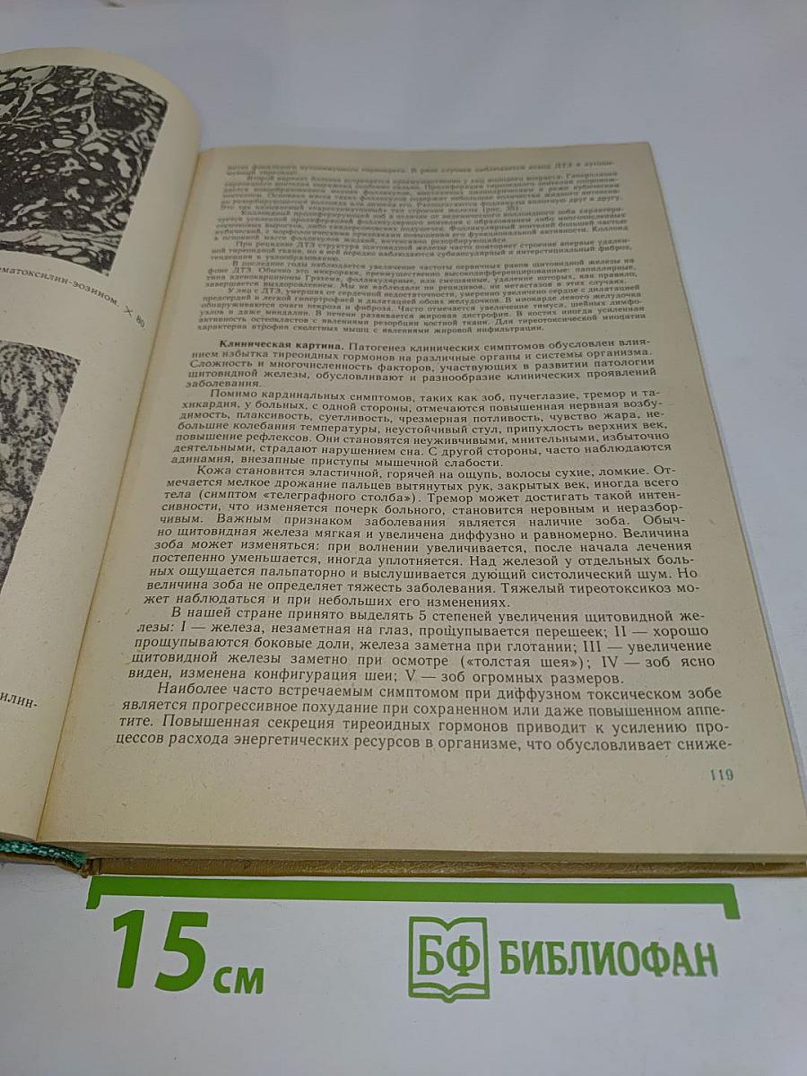 Клиническая эндокринология: Руководство для врачей