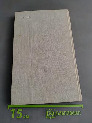 Молодые годы Шостаковича. Книга вторая