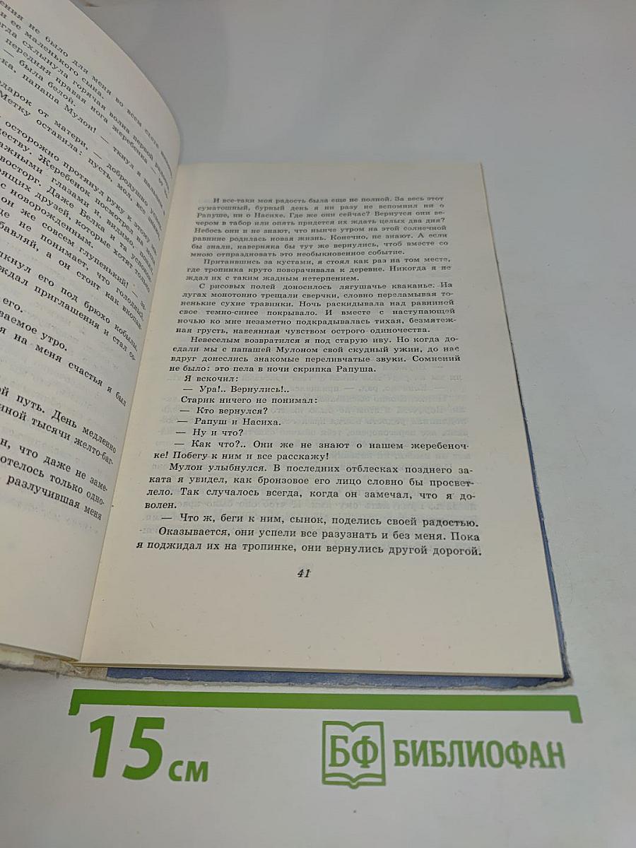 Цветы на пепелище