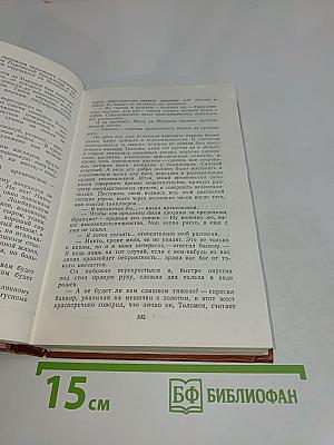 Железный король. Узница Шампаньи