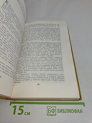 Хитроумный идальго Дон Кихот Ламанчский. Часть 2