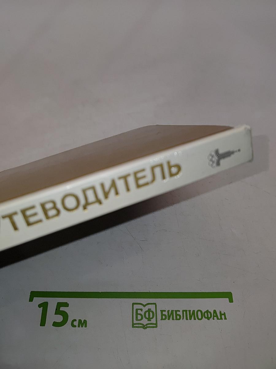 Эрмитаж. Путеводитель по выставкам и залам