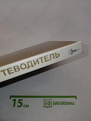 Эрмитаж. Путеводитель по выставкам и залам