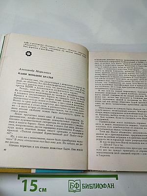 Улыбка столицы