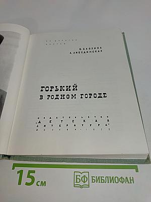 Горький в родном городе
