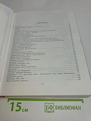 История русской литературы Х-ХХ века