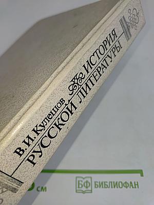 История русской литературы Х-ХХ века