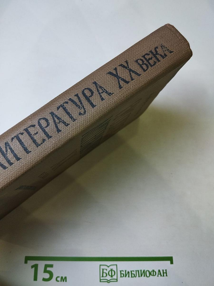 Русская литература XX века. Дооктябрьский период.