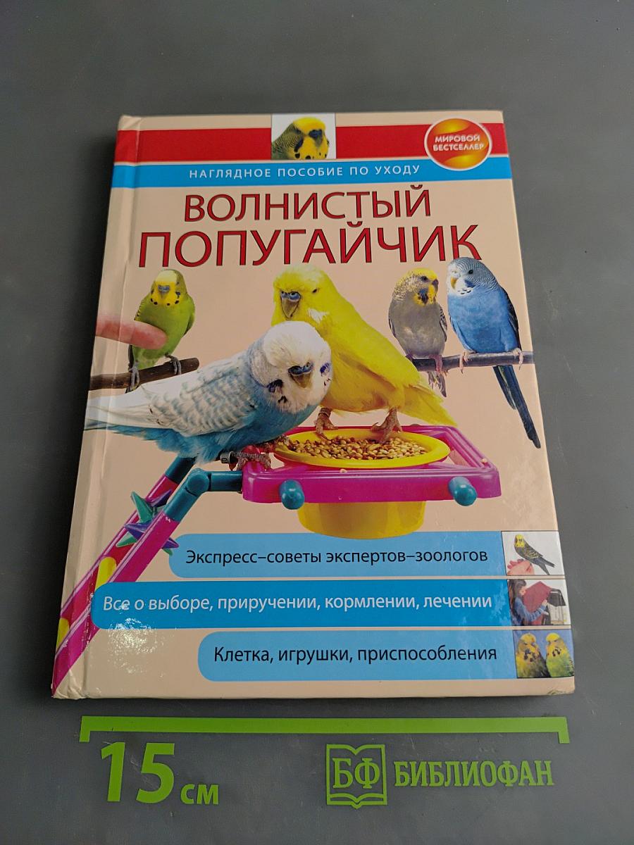 Волнистый попугайчик