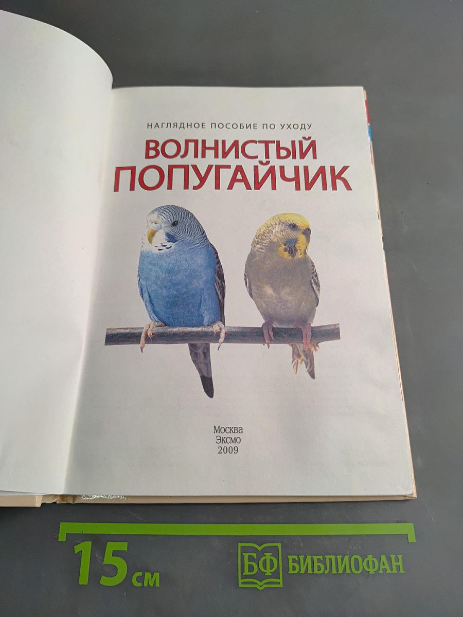 Волнистый попугайчик