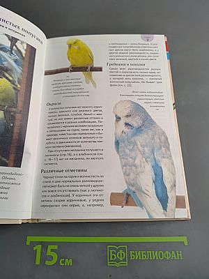 Волнистый попугайчик