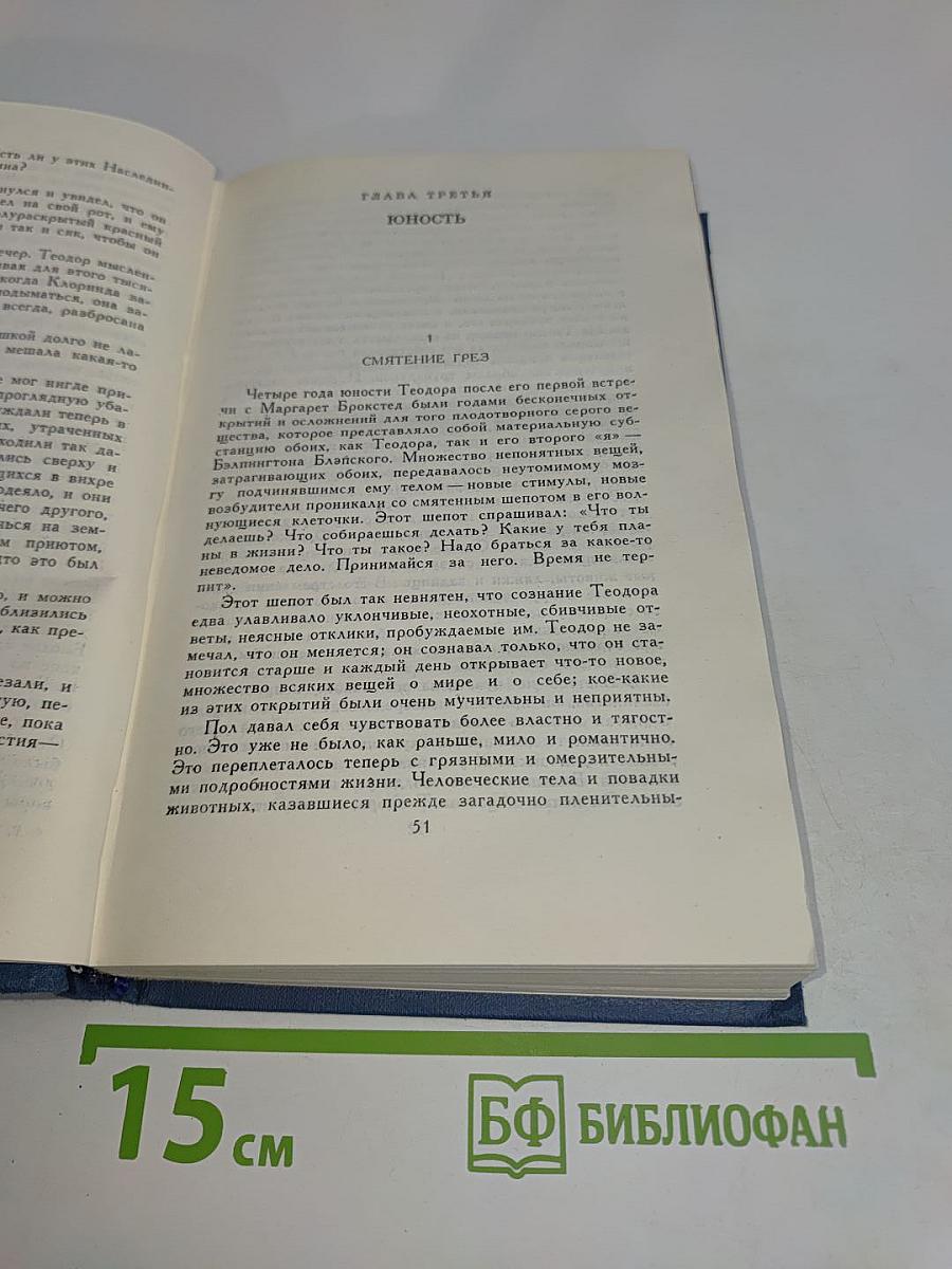 Собрание сочинений в пятнадцати томах. Том 13