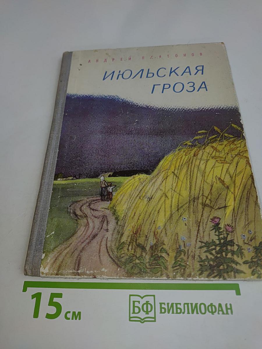Июльская гроза