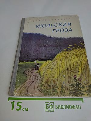 Июльская гроза