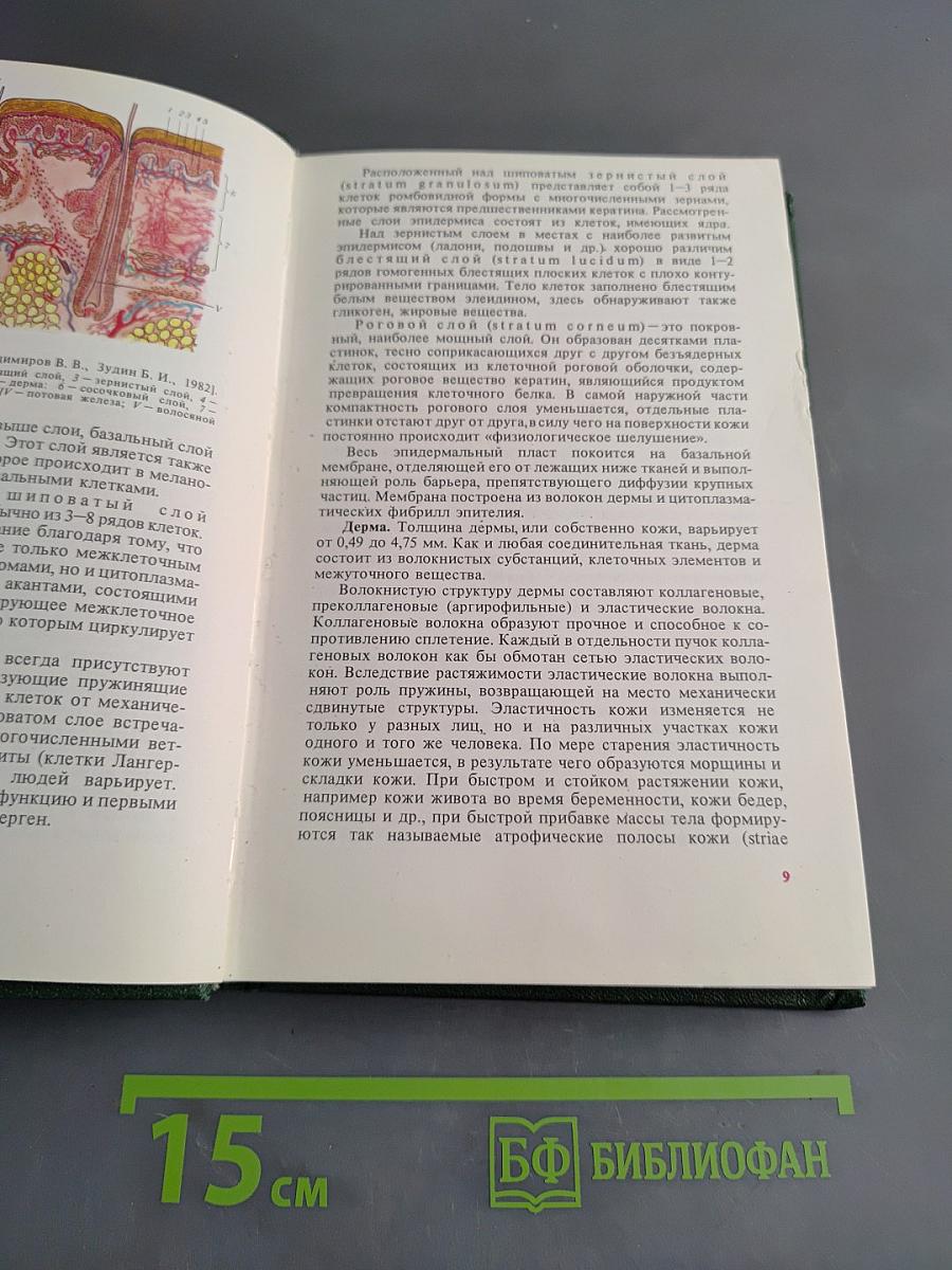 Кожные и венерические болезни