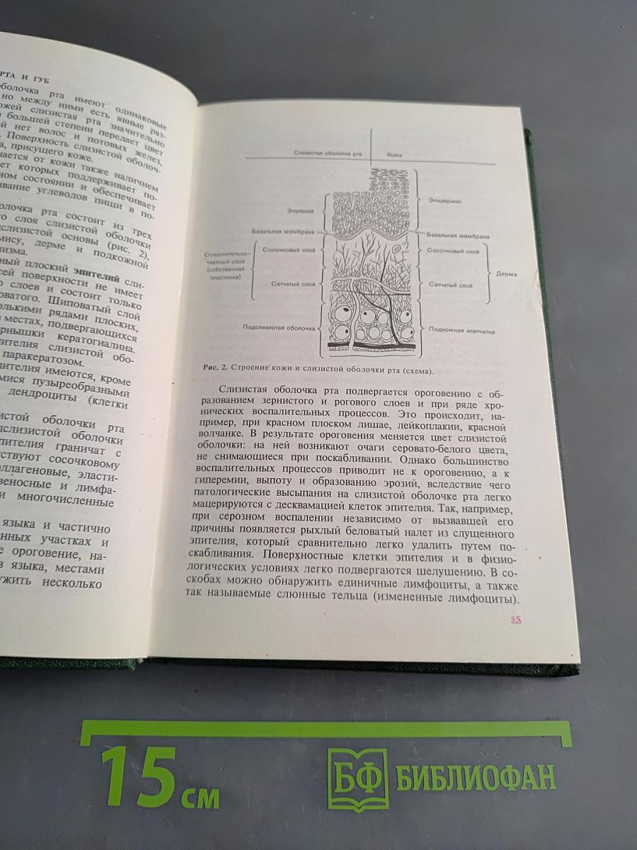 Кожные и венерические болезни