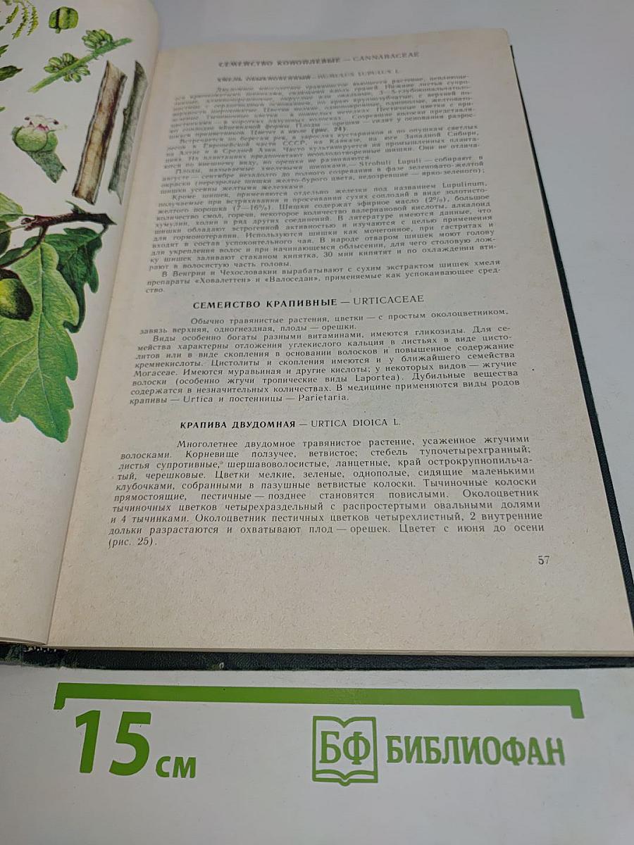 Дикорастущие лекарственные растения СССР